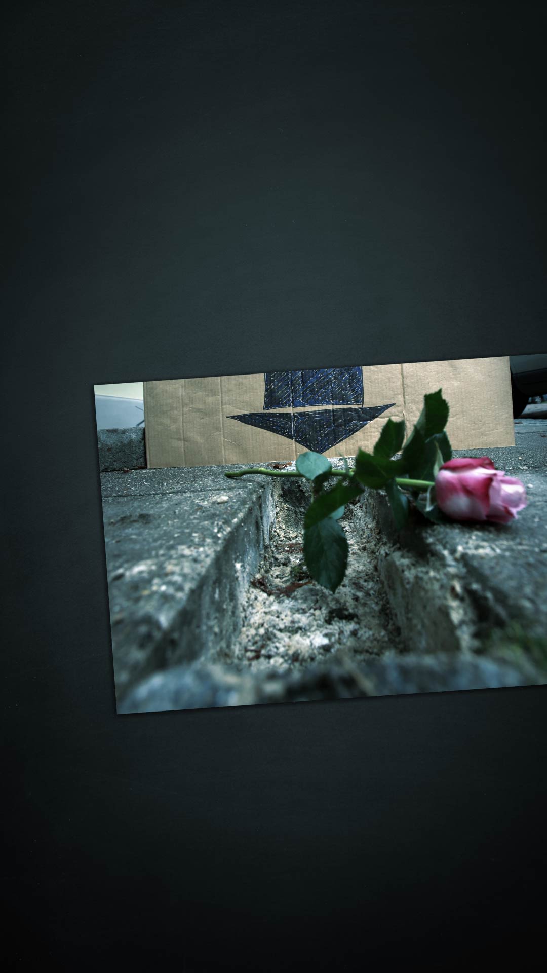 Auf einem Bordstein wurde ein Stolperstein entfernt. Auf der Lücke liegt eine Rose.