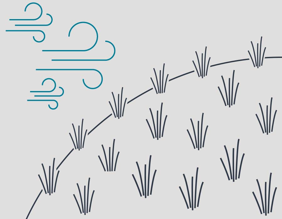 Icon: Wüstenboden mit Pflanzen. Darüber weht der Wind.