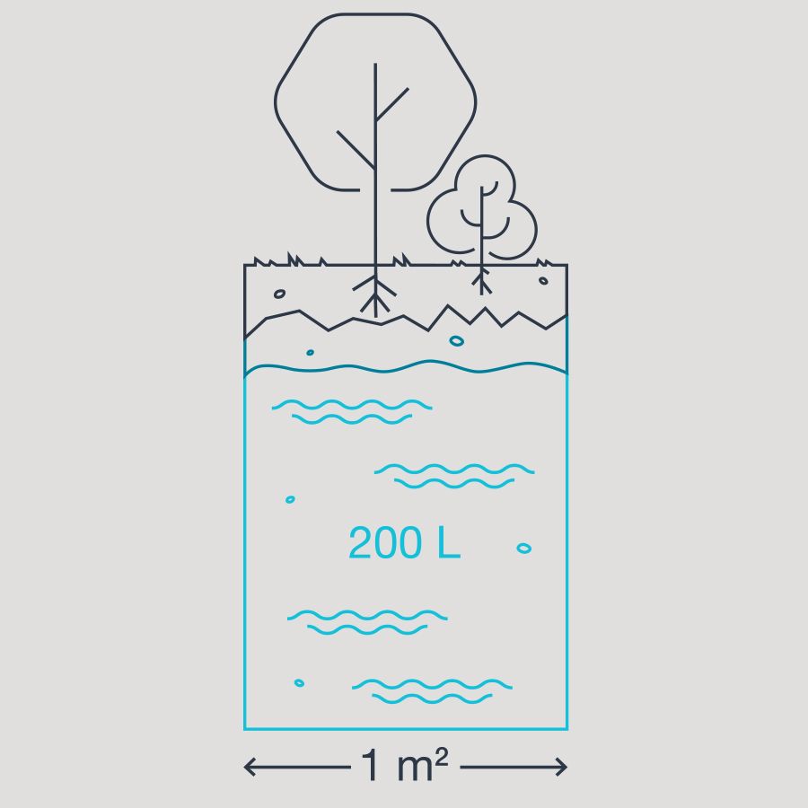 Grafik eines Bodendurchschnitts. Oberhalb wachsen Bäume und Sträucher. Unter der Erdoberfläche stauen sich 200 Liter Wasser auf einen Quadratmeter.