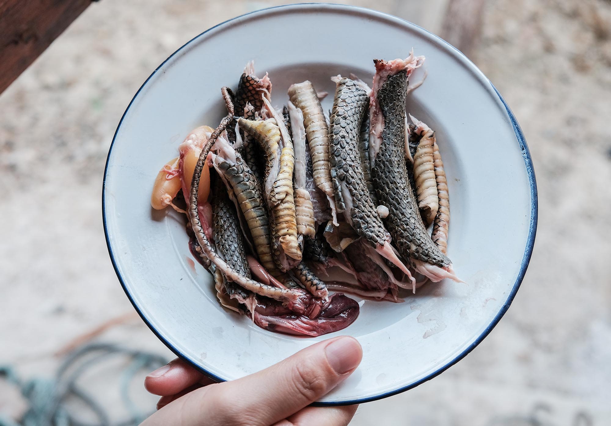 Foto von Schlangenfleisch auf Teller.