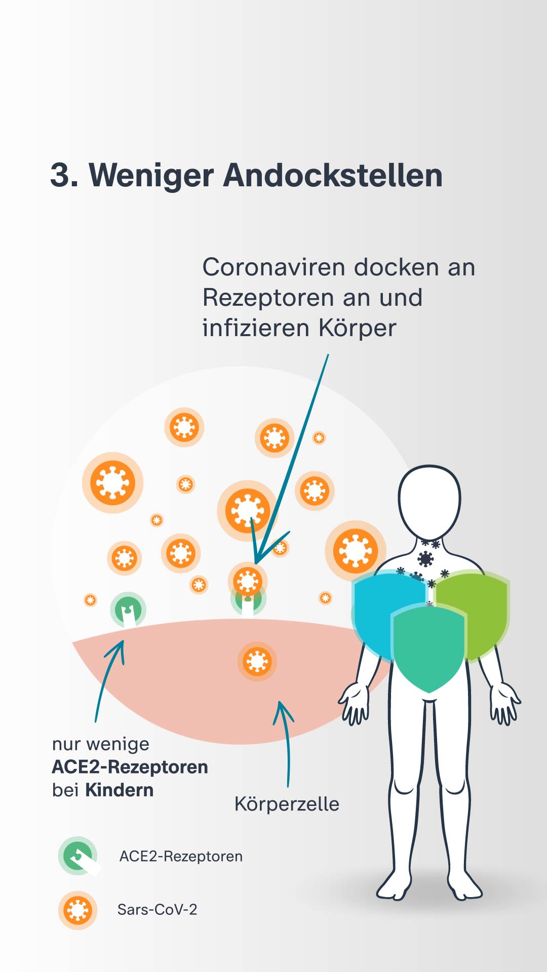 Coronavirus Risikoprofil Kind Coronavirus Risikoprofil Kind