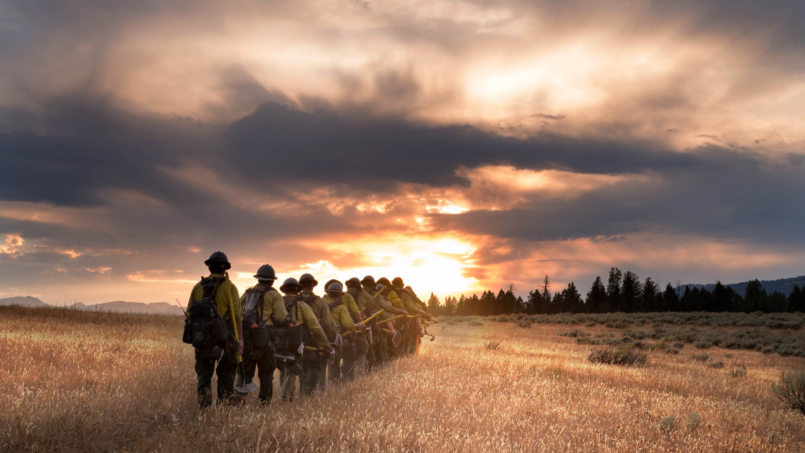 Foto einer Truppe Feuerwehrmänner auf einem Feld bei Sonnenaufgang.