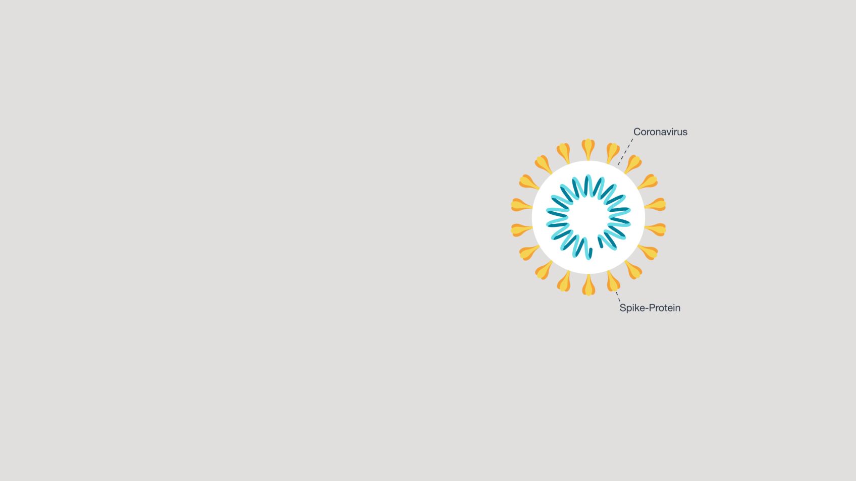 Mrna Und Vektorimpfstoffe